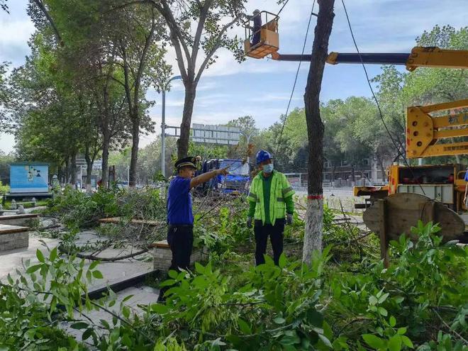 园林开云 开云体育平台绿化养护中心提升精细化养护水平 美化市容环境(图2)