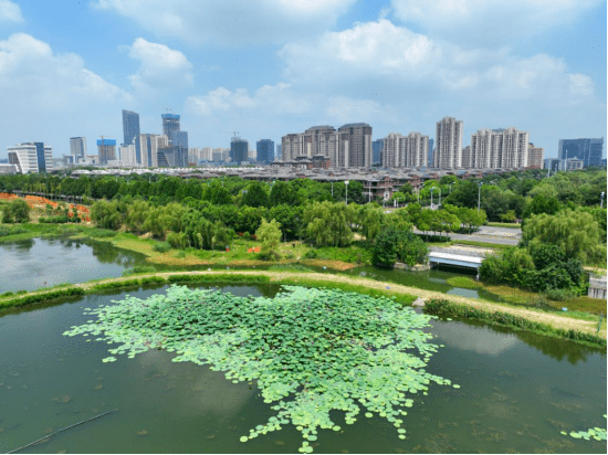 开云体育 开云平台五大设计导则赋能城市建设品质提升！(图7)