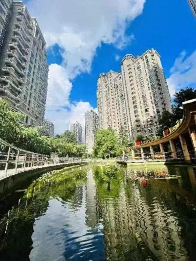 草绿了水美了……来看普陀社区如何将“疤点”变亮点！开云体育 开云官网(图3)