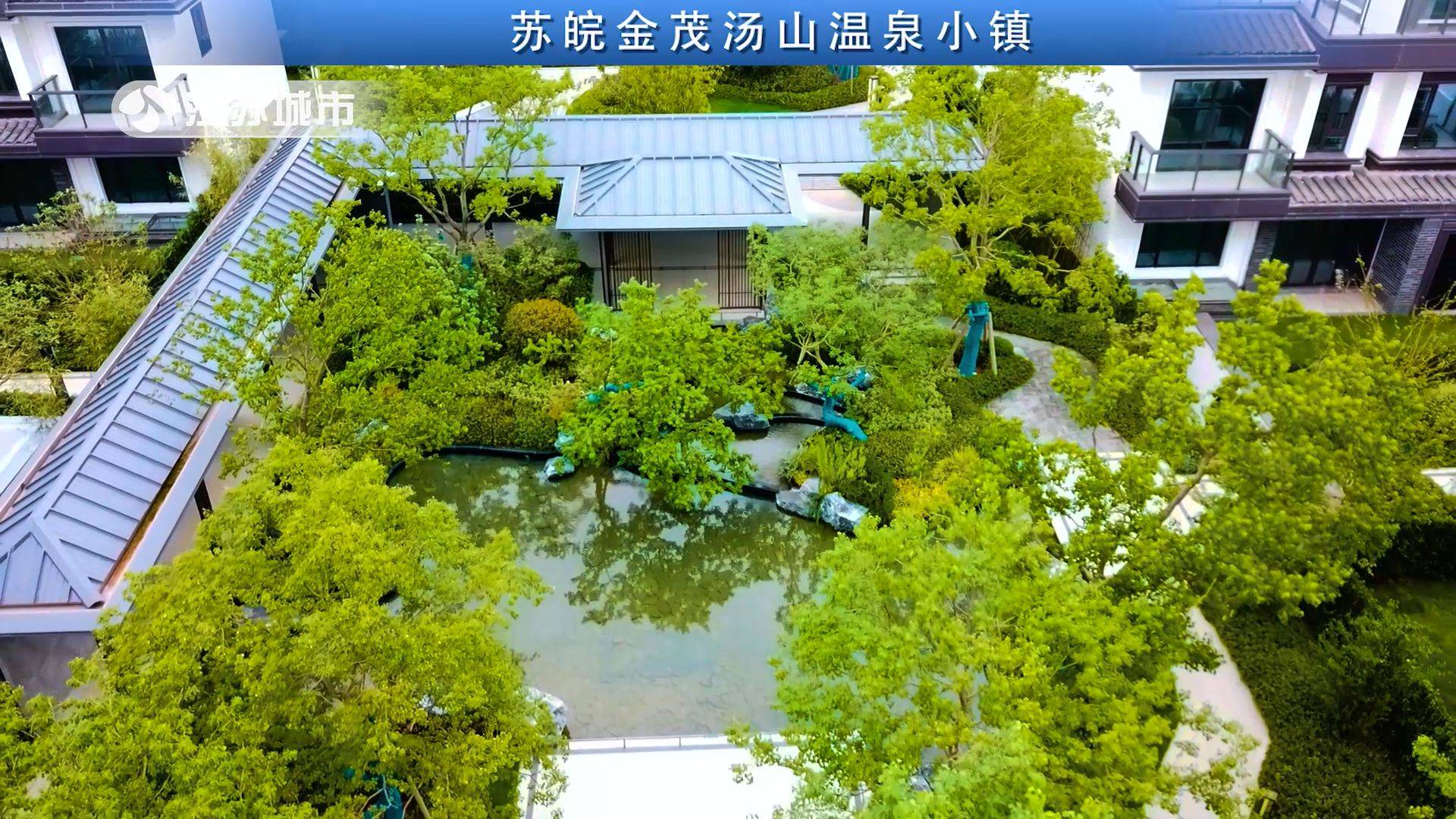 江苏直通车发布江苏电视台播出——南京韵涵园林景观工程有限公司开云体育 开云官网(图5)