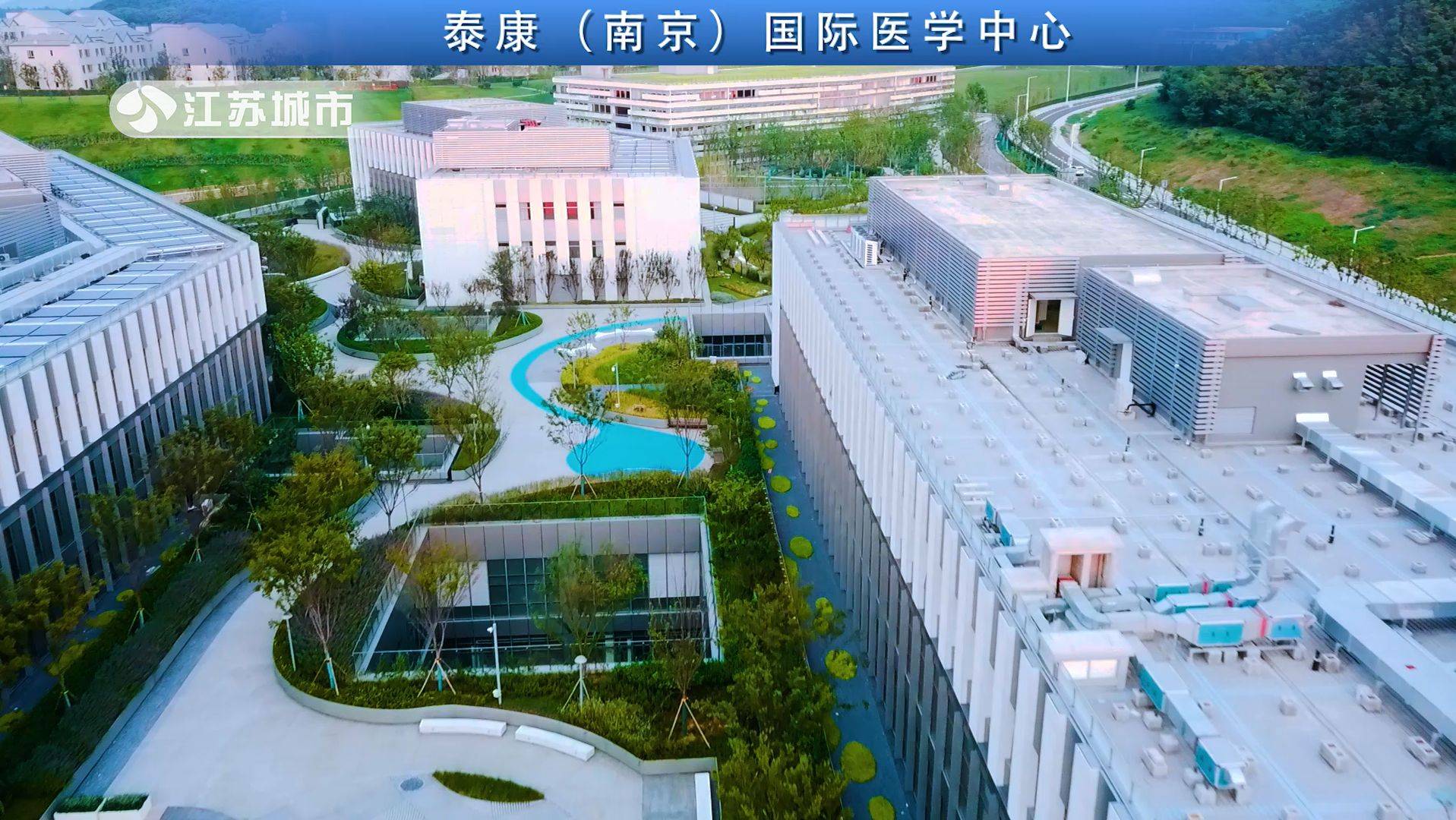 江苏直通车发布江苏电视台播出——南京韵涵园林景观工程有限公司开云体育 开云官网(图6)