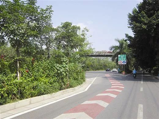 【注意】马路绿化带竟成“夺命带”？司机的开云 开云体育平台噩梦啊！市政建设还是长长心吧！(图1)