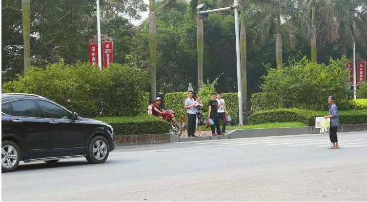 【注意】马路绿化带竟成“夺命带”？司机的开云 开云体育平台噩梦啊！市政建设还是长长心吧！(图5)