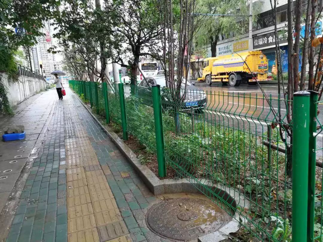 【注意】马路绿化带竟成“夺命带”？司机的开云 开云体育平台噩梦啊！市政建设还是长长心吧！(图8)