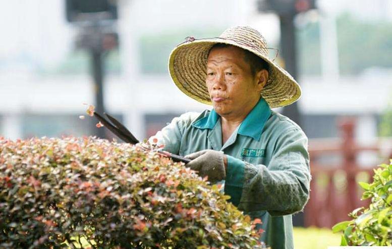 【注意】马路绿化带竟成“夺命带”？司机的开云 开云体育平台噩梦啊！市政建设还是长长心吧！(图11)