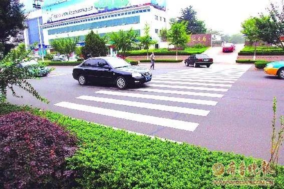 【注意】马路绿化带竟成“夺命带”？司机的开云 开云体育平台噩梦啊！市政建设还是长长心吧！(图12)