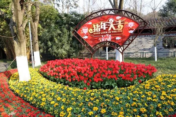 【注意】马路绿化带竟成“夺命带”？司机的开云 开云体育平台噩梦啊！市政建设还是长长心吧！(图10)