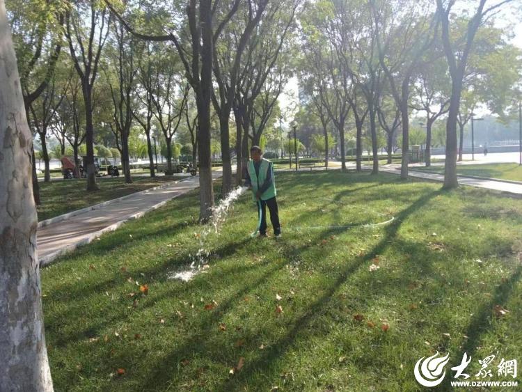德州园林做好秋季绿植灌溉养护 为绿化苗木补水“解渴”_大众网开云 开云体育官网(图2)