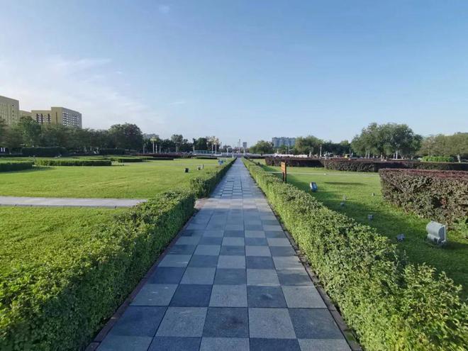 开云体育 开云官网多项举措加强园林绿化养护管理工作(图2) 开云体育 开云官网多项举措加强园林绿化养护管理工作(图2)
