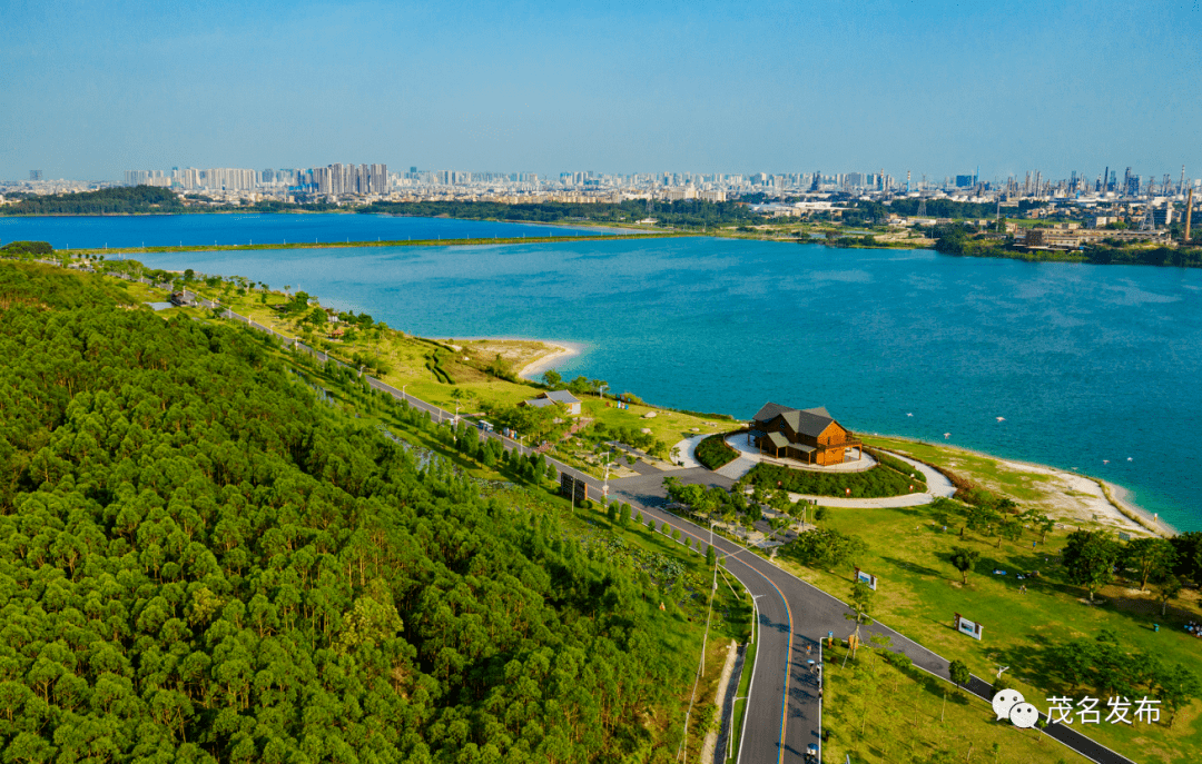 “公园广场越来越美！”茂名绿化养护管理市场化带来了新变化 →开云APP 开云官网入口(图4)