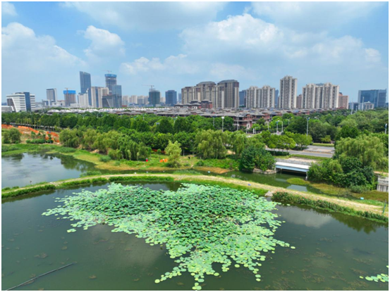 合肥高新区：“五大规划设计导则”打造高品质魅力之城开云体育 Kaiyun.com 官网入口(图3)