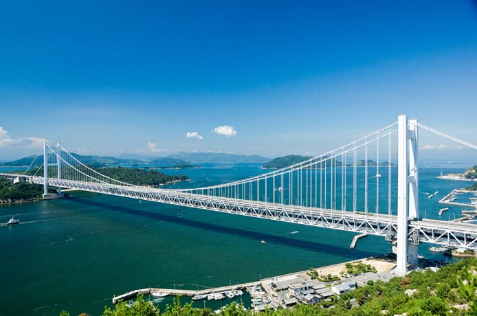 再无园林绿化资开云 开云体育官网质羁绊 证书含金量缩水！(图1)