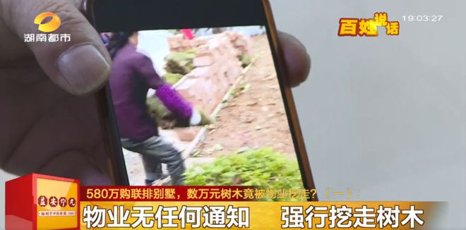开云体育 Kaiyun.com 官网入口长沙男子580万买别墅家中树木被连根挖走!价值数万元(图2) 开云体育 Kaiyun.com 官网入口长沙男子580万买别墅家中树木被连根挖走!价值数万元(图2)