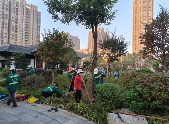 开云体育 开云官网罗山县住建局园林绿化中心：秋季补植补栽 为城市增绿添彩(图3)