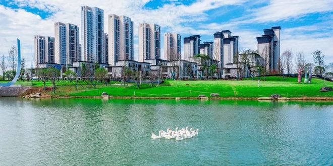 我们将纯水岸搬进了一整座公园里自然自在纯水岸！开云APP 开云官网入口(图4)