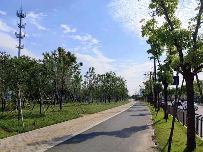 125万平方米！义乌这条“会吸水”的Kaiyun 开云森林通道建设完成(图7)