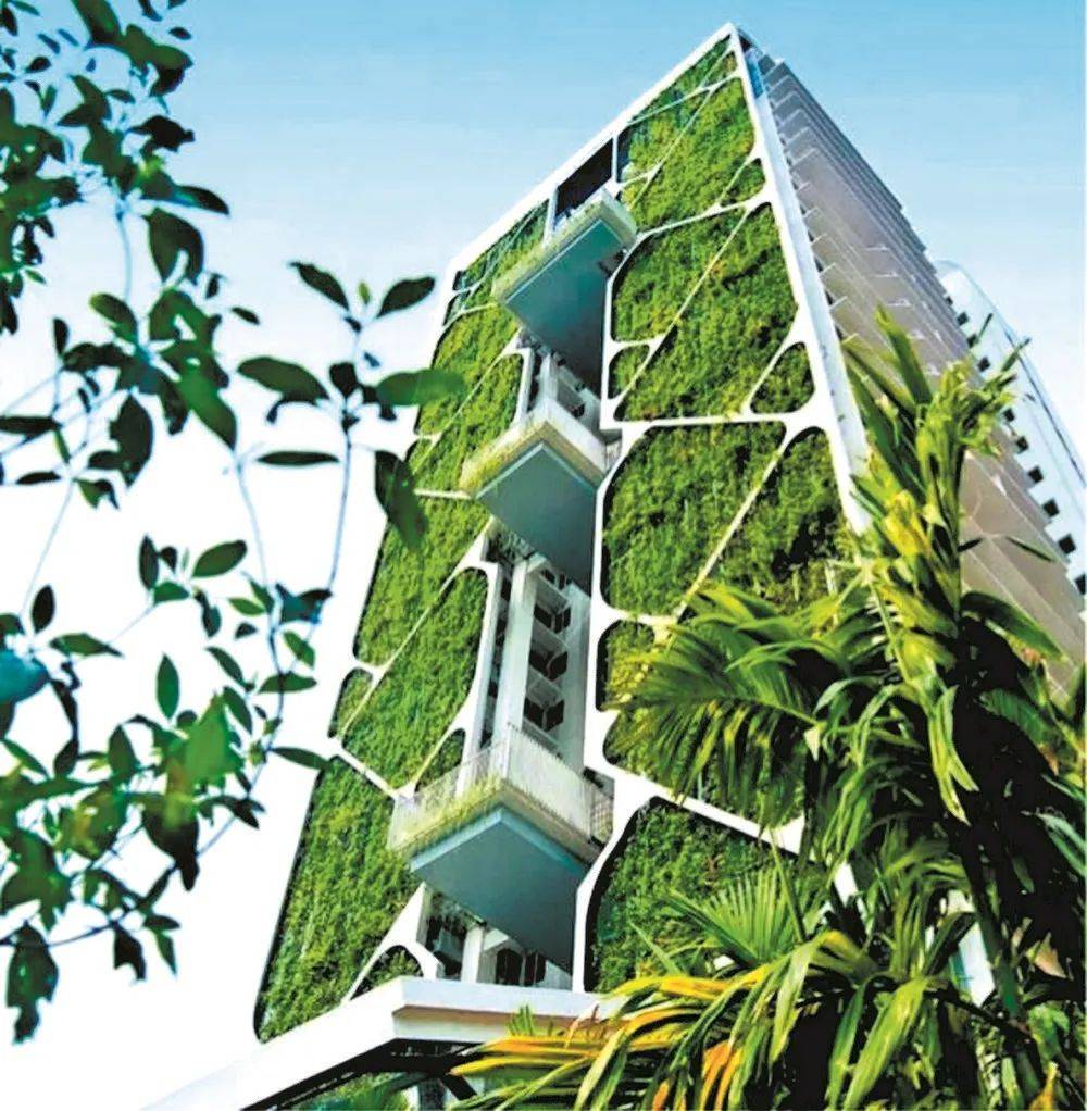 成都二环路边的“空中花园”3D版绿化建设明年呈现！开云 开云体育平台(图1)