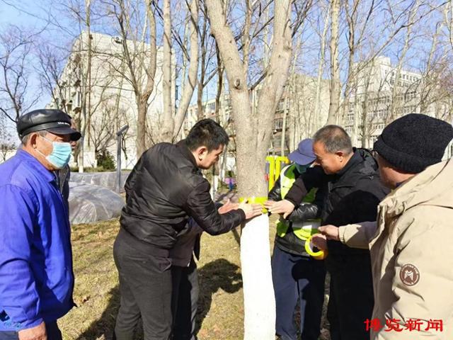 周村区园林绿化服务中心开Kaiyun 开云展病虫害防治进社区活动(图1)