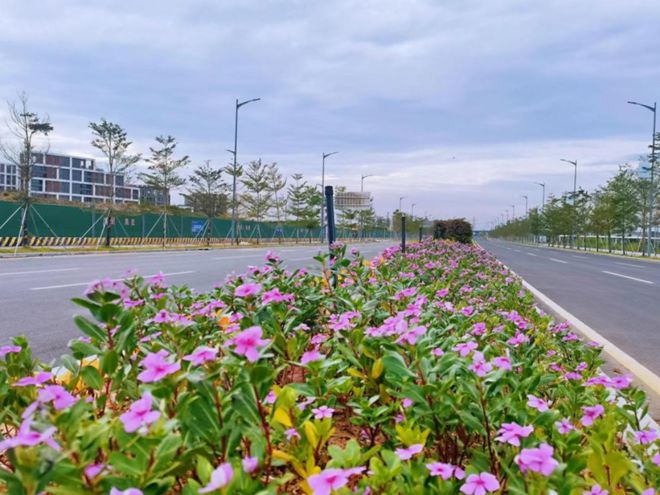 Kaiyun 开云体育那么美！庆盛枢纽4条市政道路一路一景！(图7)