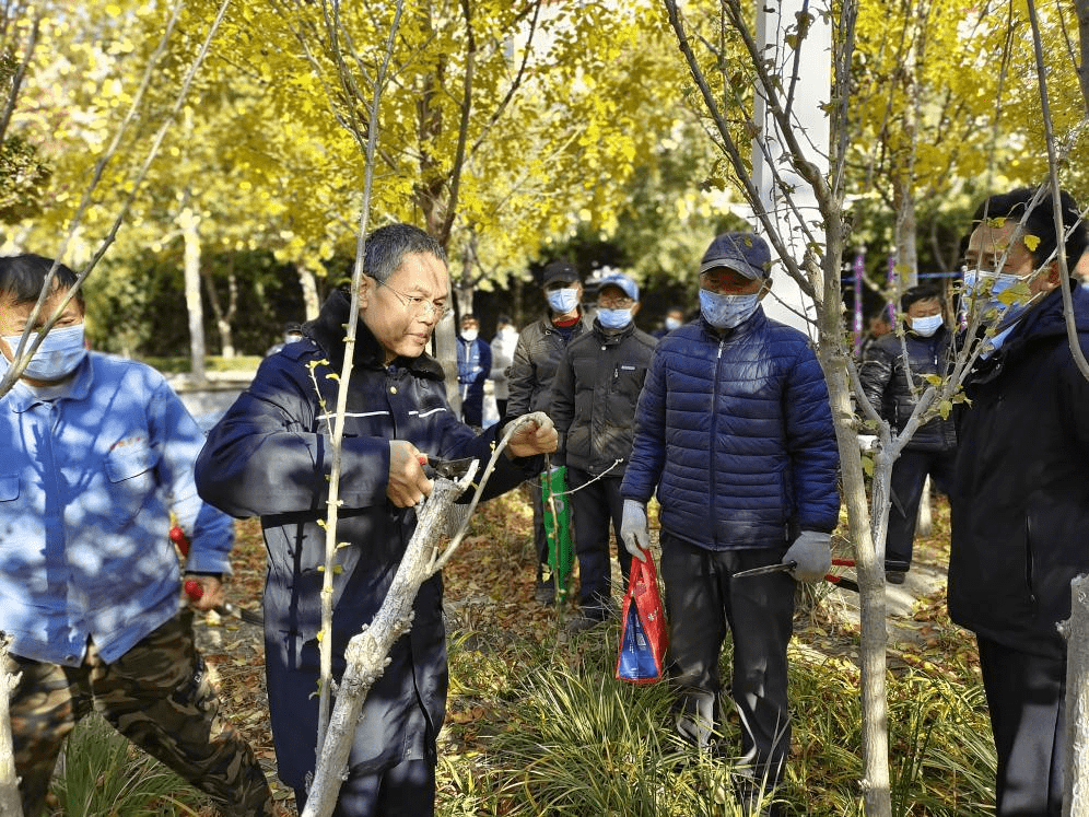 【一线动态】以学促Kaiyun 开云干 切实提升园林绿化养护水平(图2)