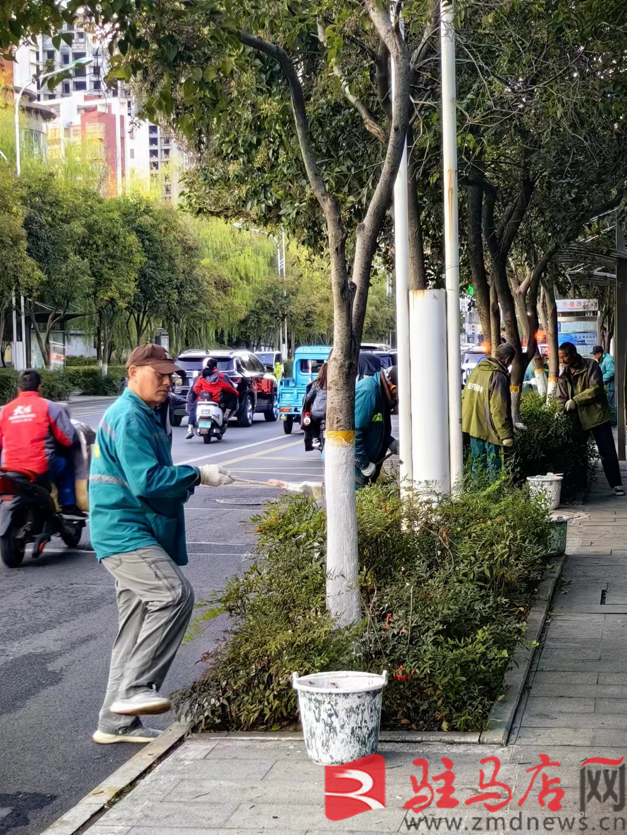 开云体育 开云官网市园林绿化中心加强绿化养护管理 确保树木安全过冬(图2)