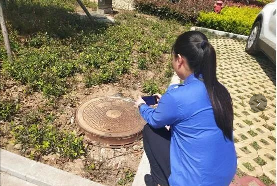 唐河城市管理局：开辟园林绿化信息平台 助推“三城联创开云体育 Kaiyun.com 官网入口”(图1)