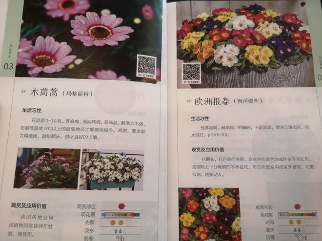 上海试开云 开云体育官网点窗阳台绿化 首批66种推荐植物敲定(图1)