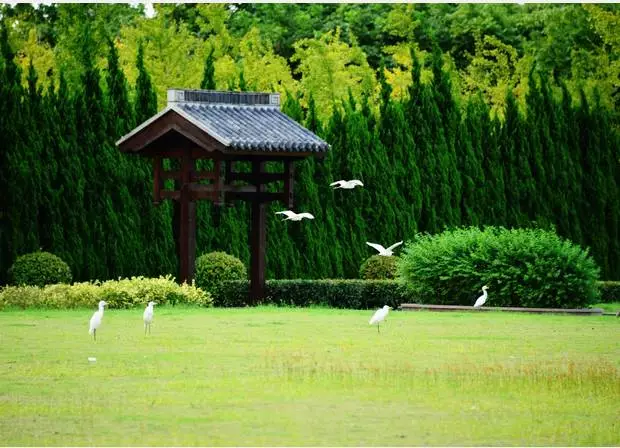 践行绿色殡葬让公墓“绿”起来开云体育 开云官网(图3)