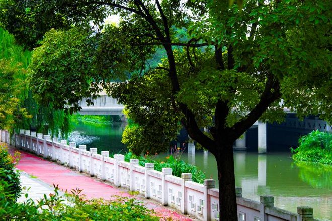 开云 开云体育平台能跑步、休憩……实景堪比大片！闵行一片近9万平方米的绿化带即将建成(图5)