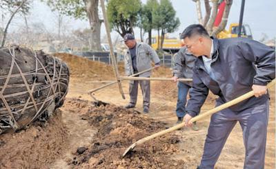 造林绿化 建设美丽中国（美Kaiyun 开云体育丽中国）(图1)