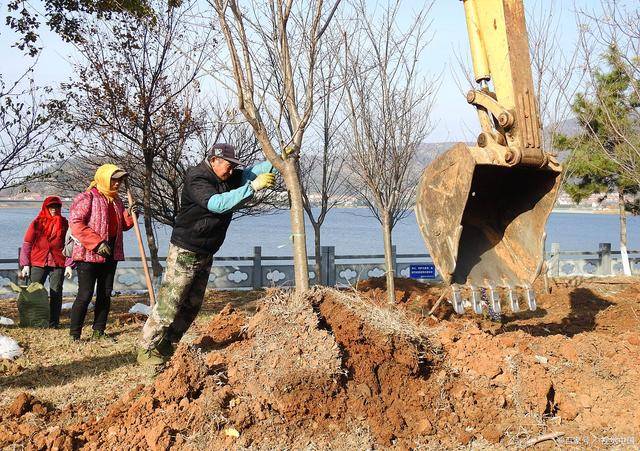 园林绿开云 开云体育官网化工程师如何报考？报考条件及流程是怎样？考试难度如何？(图3)