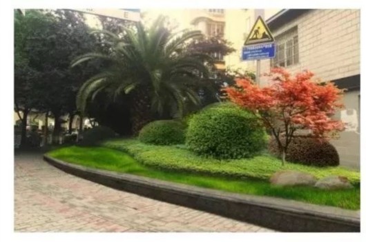 南北高架绿化带将换装 快来看开云体育 开云平台看长啥样(图2) 南北高架绿化带将换装 快来看开云体育 开云平台看长啥样(图2)