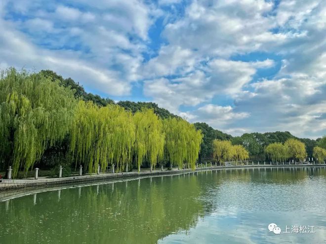 开云 开云体育官网10000平方米滨水绿地、10米景观绿道……松江这条路将美出新高度！(图4)