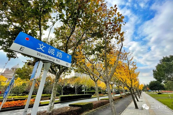 开云 开云体育官网10000平方米滨水绿地、10米景观绿道……松江这条路将美出新高度！(图2)