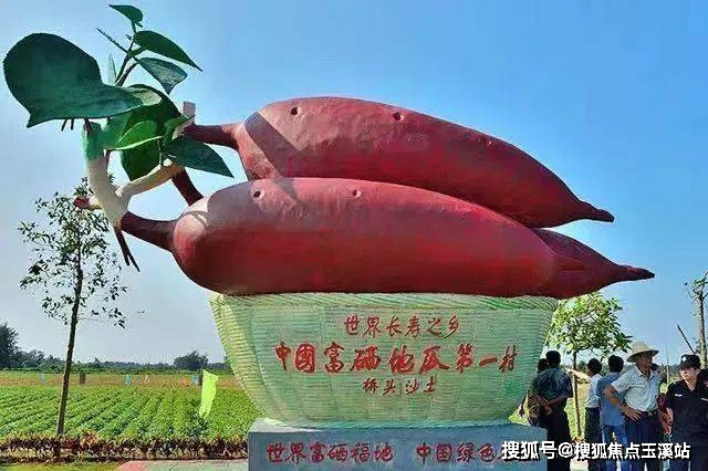 开云 开云体育官网海口澄迈德府金城小区环境绿化容积率户型图(图4)