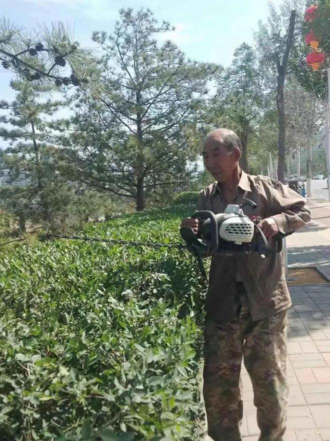 Kaiyun 开云体育炎炎夏日 绿化养护正忙时—“四加强”开启夏季园林绿化养护模式(图2)