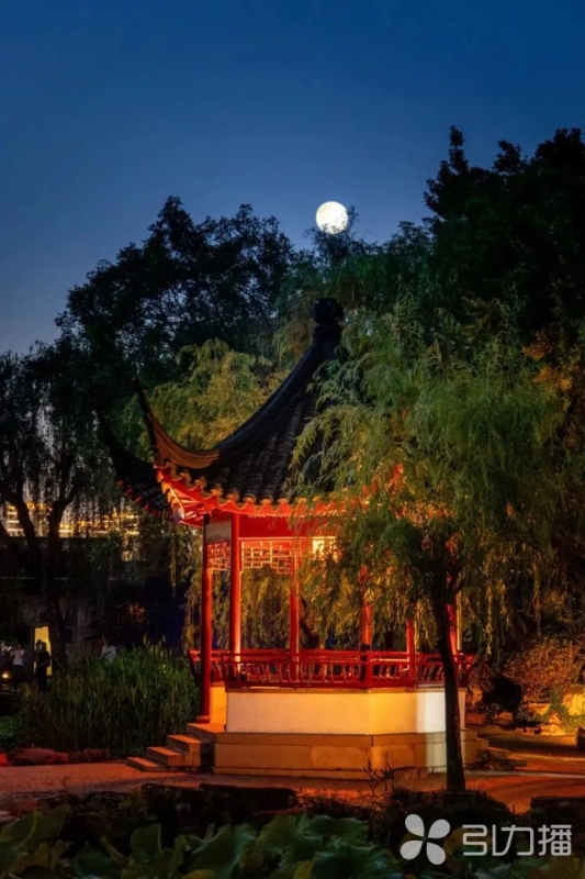 Kaiyun 开云体育来一场园林深度游！“我在苏州游园林”春季篇上新(图4)