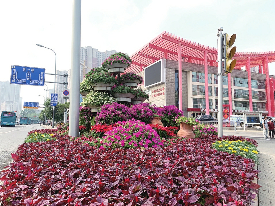 济南市园林和林业绿化开云 开云体育平台局精心组织实施 鲜花扮靓泉城 喜迎国庆佳节(图1)