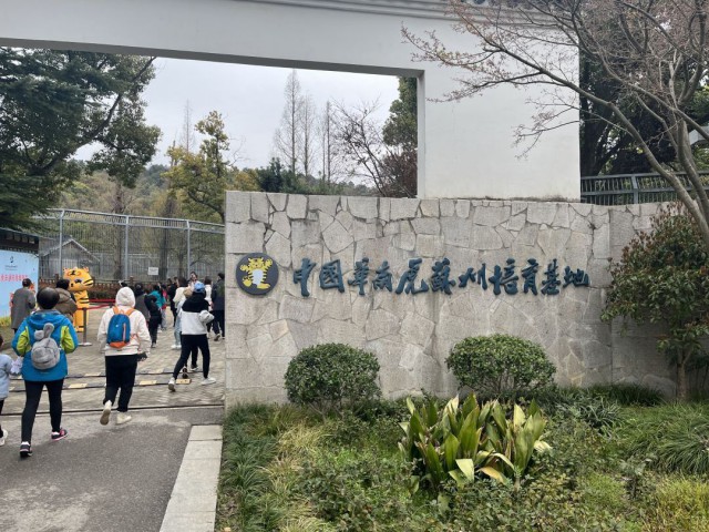 Kaiyun 开云体育苏州华南虎卡通形象发布设计师只有11岁(图3)