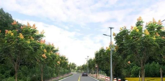 效果图开云体育 开云官网来了！中山公园、莲花公园提升改造启动还有……(图6)