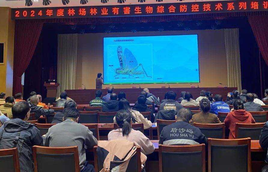 北京市园林绿化局在顺义区开展2024年度林场林业有害生物综合防控技术系列培训开云APP 开云官网入口(图3)
