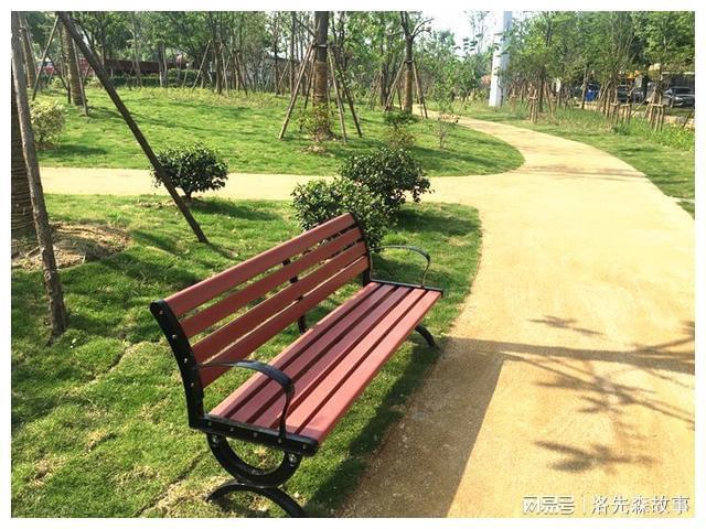 开云 开云体育官网我国城市园林绿化普遍规划不合理(图4)