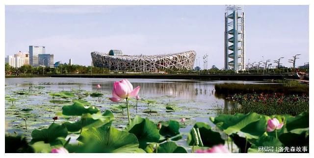 开云 开云体育官网我国城市园林绿化普遍规划不合理(图7)