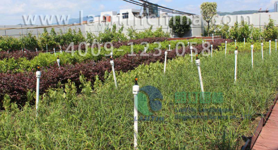 开云体育 开云官网屋顶绿化花园植物设计(图1)