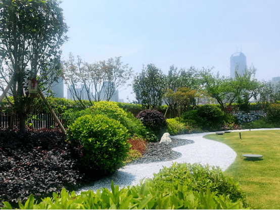 开云体育 Kaiyun.com 官网入口【分享】“空中花园”“花墙”“绿墙”来看长宁近年打造的高颜值立体绿化→(图5)