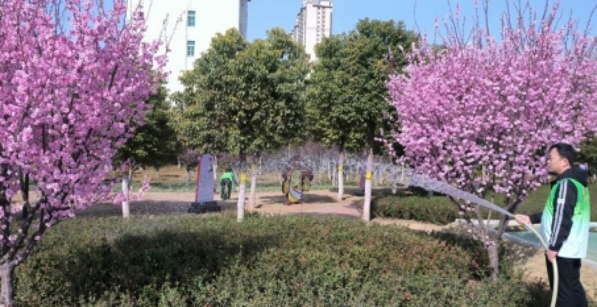 开云 开云体育官网补植修剪施肥清园! 漯河市园林绿化养护中心巧手打扮城市景观(图2)