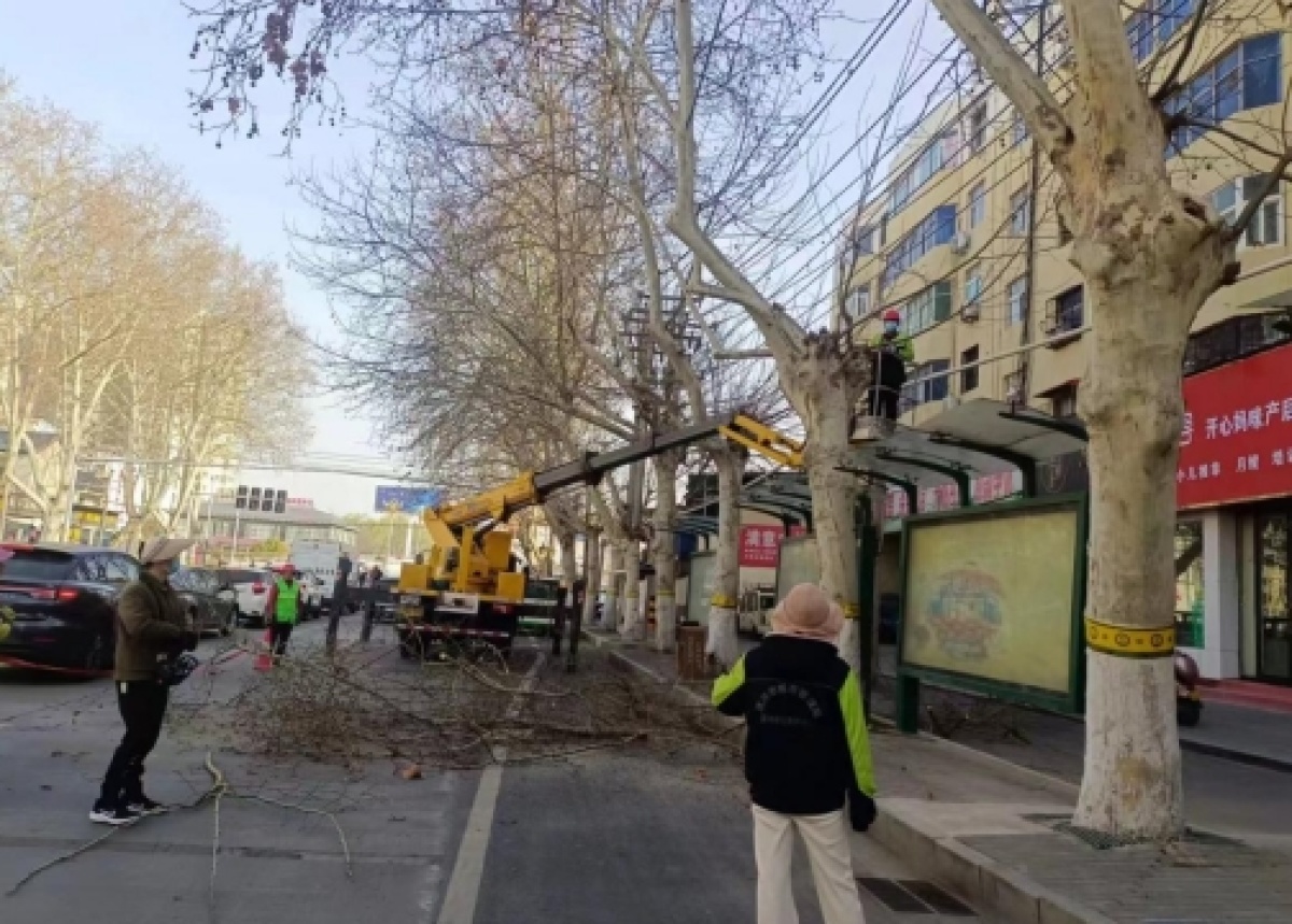 开云 开云体育官网补植修剪施肥清园! 漯河市园林绿化养护中心巧手打扮城市景观(图4)