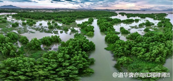 建筑建设工程拒绝结算拖欠工程款深圳律师助施工人开云体育 开云官网追回欠款(图2)