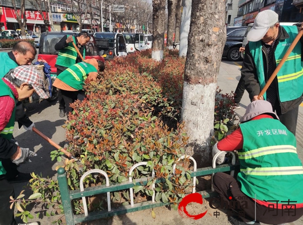 驻马店开发区城市管理局：抢抓春季“黄金期” 绿化养护忙不Kaiyun 开云停(图1)