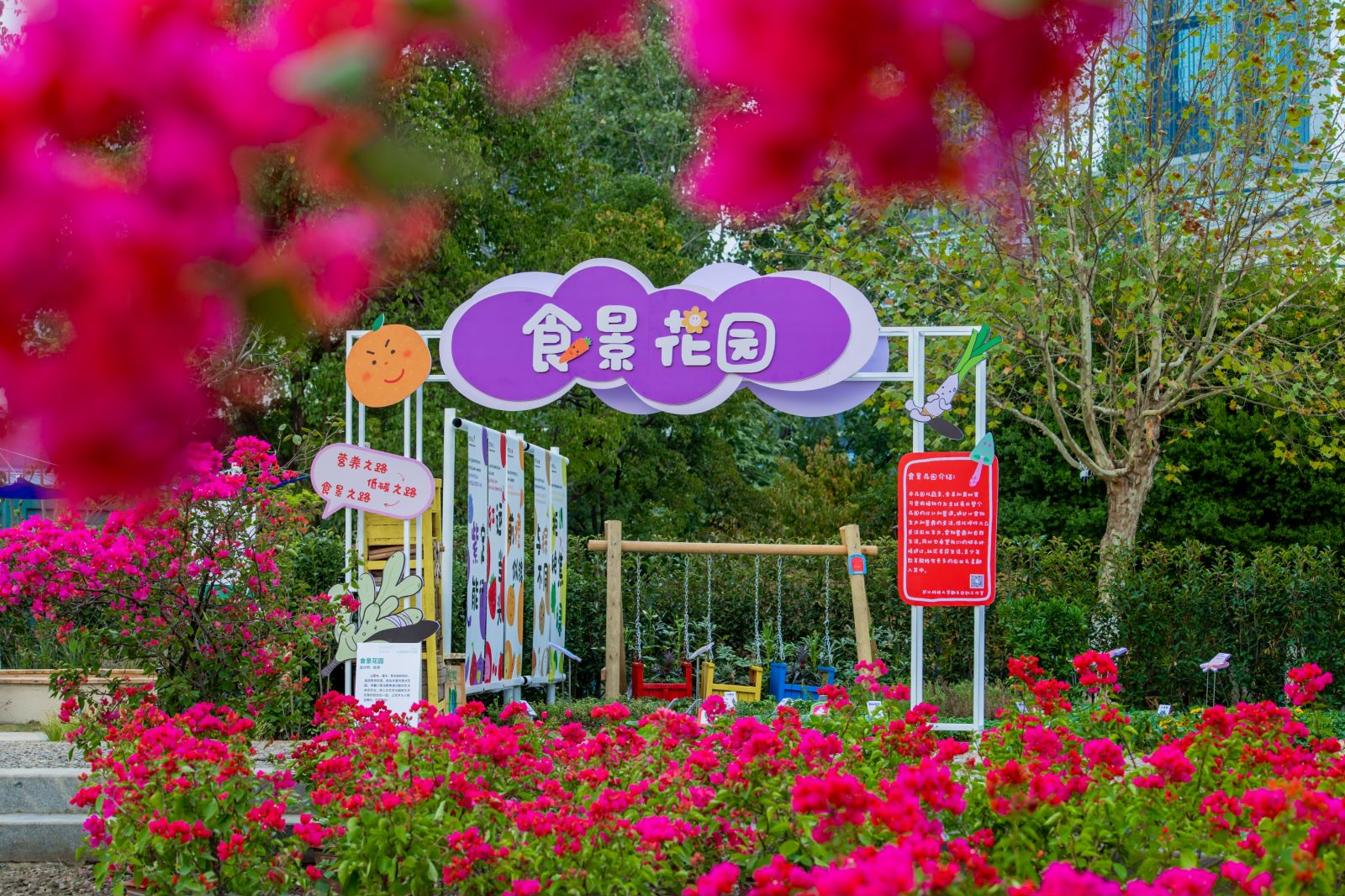 今起报名！面向武汉征集20组家庭园艺设计方案开云体育 Kaiyun.com 官网入口(图5)
